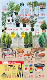 Feuerschale Angebot & Preis im aktuellen Jawoll Prospekt Feuerschale Angebot im aktuellen Jawoll Prospekt auf Seite 6