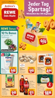 REWE Prospekt Dein Markt mit 30 Seiten