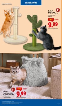 Promo Corbeille Chien dans le catalogue Lidl du moment à la page 71