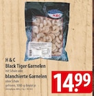 H & C Black Tiger Garnelen oder blanchierte Garnelen im Angebot bei famila Nordost in Pinneberg H & C Black Tiger Garnelen oder blanchierte Garnelen Angebote bei famila Nordost Pinneberg für 14,99 €