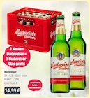 Aktuelles Original Czech Lager Angebot bei GetränkeLand Mayer in Dresden ab 14,99 €