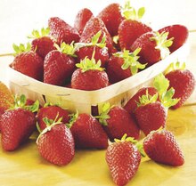 Spar Lyon - Fraises Promo Fraises Spar Lyon dans le catalogue "L'anniversaire c'est Sparti !"