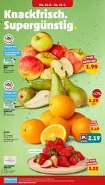 Aktueller Penny Prospekt mit Tierfutter, "Wer günstig will, muss Penny.", Seite 4