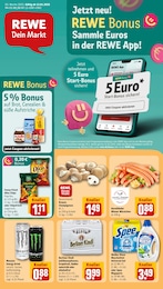 REWE Prospekt für Berlin mit 34 Seiten REWE Prospekt "Dein Markt" für Berlin, 34 Seiten, 13.01.2025 - 18.01.2025