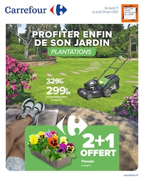 Prospectus Carrefour à Saint-Aunès, "PROFITER ENFIN DE SON JARDIN : PLANTATIONS", 20 pages, 11/03/2025 - 24/03/2025