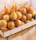 Oignon jaune dans le catalogue Intermarché