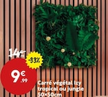 Promo Carré végétal Izy tropical ou jungle à 9,99 € dans le catalogue Maxi Bazar à Lillers