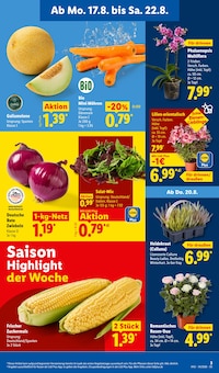 Pflanzen im aktuellen Lidl Prospekt (Braunschweig) Pflanzen im Lidl Prospekt "LIDL LOHNT SICH" mit 72 Seiten (Braunschweig)