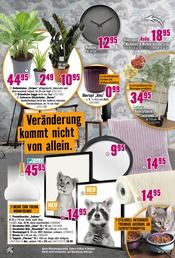 Aktueller Hornbach Prospekt mit Pflanzen, "Wir sagen Danke.", Seite 25