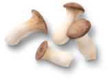 Aktuelle Pilze Angebote bei Kaufland in Nürnberg Aktuelles Kräuterseitlinge Angebot bei Kaufland in Nürnberg ab 1,99 €