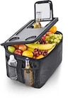 Faltbare Kühltasche Angebote von EASYmaxx bei Netto Marken-Discount Viersen für 12,99 €