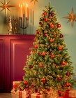 Kunstweihnachtsbaum „Nagoya“ im Angebot bei Hagebaumarkt in Kempen Kunstweihnachtsbaum „Nagoya“ Angebote bei Hagebaumarkt Kempen für 89,99 €