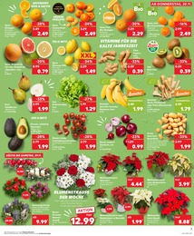 Gartenpflanzen im Kaufland Prospekt Aktuelle Angebote auf S. 7