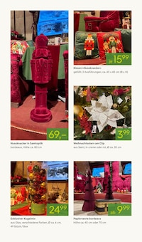 Zimmerpflanzen im aktuellen Pflanzen Kölle Prospekt (Nürnberg) Zimmerpflanzen im Pflanzen Kölle Prospekt "SCHÖNSTER WEIHNACHTSMARKT WEIT UND BREIT" mit 20 Seiten (Nürnberg)
