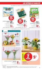 Plante Verte en promo dans le catalogue Super U à la page 39