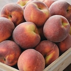 Promo Pêche blanche et/ou jaune à 2,59 € dans le catalogue Intermarché Contact à Vernet-les-Bains