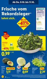 Aktueller Lidl Prospekt mit Salat, "LIDL LOHNT SICH", Seite 56