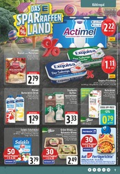 Aktueller EDEKA Prospekt mit Zitronen, "Aktuelle Angebote", Seite 9