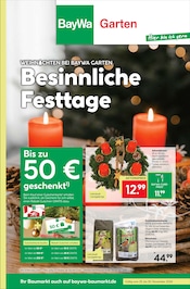 Aktueller BayWa Bau- und Gartenmärkte Prospekt mit Adventskranz, "Hier bin ich gern", Seite 1