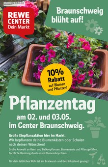 Pflanzen im REWE Prospekt "Dein Markt" mit 40 Seiten (Braunschweig)
