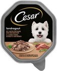 Hundenahrung Angebote von Cesar bei REWE Hof für 0,75 €