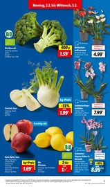 Aktueller Lidl Prospekt mit Orchidee, "LIDL LOHNT SICH", Seite 3