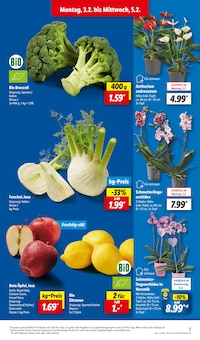 Fenchel Angebot im aktuellen Lidl Prospekt auf Seite 3