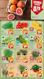 Blumen Angebot & Preis im aktuellen REWE Prospekt Blumen Angebot im aktuellen REWE Prospekt auf Seite 5