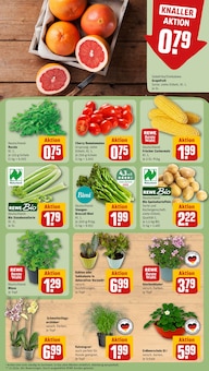 Tierfutter Angebot im REWE Prospekt, gültig von 27.07.2026 bis 01.08.2026 Tierfutter Angebot im aktuellen REWE Prospekt auf Seite 5