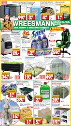 Wreesmann Stiefmütterchen im Prospekt 