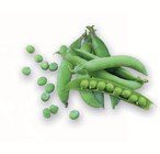 Promo Pois nain Merveille de Kélvédon à 3,95 € dans le catalogue Espace Emeraude à Guénin