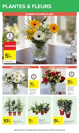 Promos Fleurs d'extérieur dans le catalogue "Carrefour" de Carrefour à la page 46