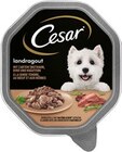 Hundenahrung Angebote von Cesar bei REWE Albstadt für 0,75 €