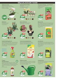 Gartenwerkzeug im V-Markt Prospekt "V-Markt einfach besser einkaufen" auf Seite 15