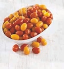 U Express Caumont-sur-Durance - Promo Tomate Cerise Allongée ou Melangée Promo Tomate Cerise Allongée ou Melangée à 4,99 € dans le catalogue U Express à Caumont-sur-Durance