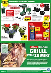 Socken im Hagebaumarkt Prospekt in Salzgitter Aktueller Hagebaumarkt Prospekt mit Socken, "HIER GRILLT DEIN BESTPREIS", Seite 16