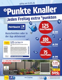 Netto Marken-Discount Treuepunkte im Prospekt 