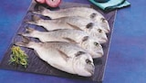 Daurade Royale d'Aquaculture - Super U à Montpellier Daurade Royale d'Aquaculture en promo chez Super U Montpellier à 8,99 €