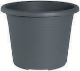 Topf Cylindro Angebote bei BayWa AG Bietigheim-Bissingen für 1,99 €