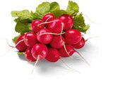 Aktuelles Radieschen Angebot bei Netto Marken-Discount in Solingen (Klingenstadt) ab 1,00 €