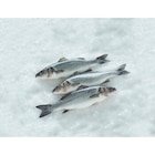 Bar - CARREFOUR en promo chez Carrefour Châtillon à 8,99 €