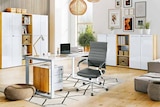 Aktuelle Bürostuhl Angebote bei Segmüller in Augsburg Aktuelles Büroprogramm „Monteria“ Angebot bei Segmüller in Augsburg ab 69,99 €