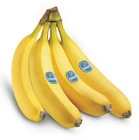 combi Emsdetten Prospekt mit  im Angebot für 1,99 €