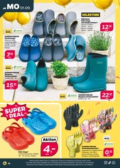 Handschuhe im Netto mit dem Scottie Prospekt in Brandenburg Aktueller Netto mit dem Scottie Prospekt mit Handschuhe, "Günstig. Besser. Für Dich.", Seite 32
