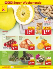 Einbauküchen im Netto Marken-Discount Prospekt in Ingolstadt Aktueller Netto Marken-Discount Prospekt mit Einbauküchen, "Aktuelle Angebote", Seite 42