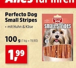 Small Stripes im Angebot bei Thomas Philipps in Lippstadt Small Stripes Angebote von Perfecto Dog bei Thomas Philipps Lippstadt für 1,99 €