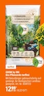 Bio-Pflanzerde torffrei Angebote von GROW by OBI bei OBI Bautzen für 12,99 €