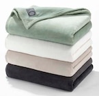 Kuscheldecke im buss Prospekt zum Preis von 19,79 €