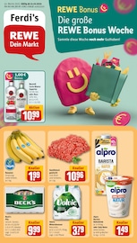 REWE Discounter Prospekt der aktuellen Woche mit 32 Seiten, gültig von 13.10.2025 bis 18.10.2025, in Dahlenburg und Umgebung Aktueller REWE Discounter Prospekt in Dahlenburg und Umgebung, "Dein Markt" mit 32 Seiten, 13.10.2025 - 18.10.2025
