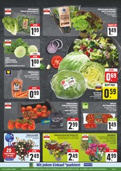 Blumen im EDEKA Prospekt in Hof Aktueller EDEKA Prospekt mit Blumen, "Wir lieben Lebensmittel!", Seite 7
